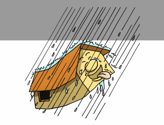 Gestion de l’eau et éco-assainissement