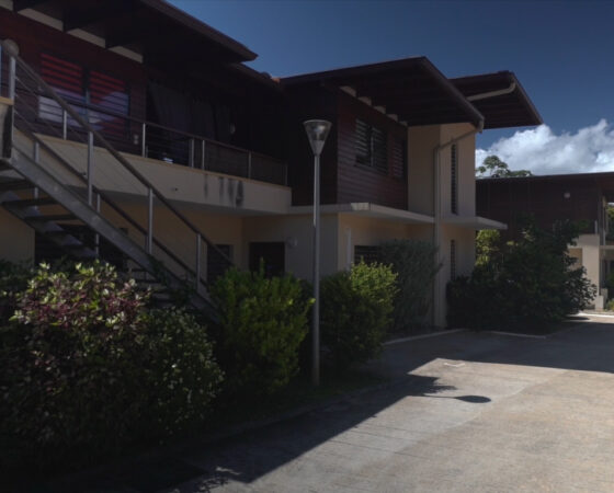 Rafraîchir grâce à la végétalisation