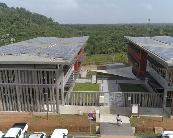 Produire et optimiser pour compenser